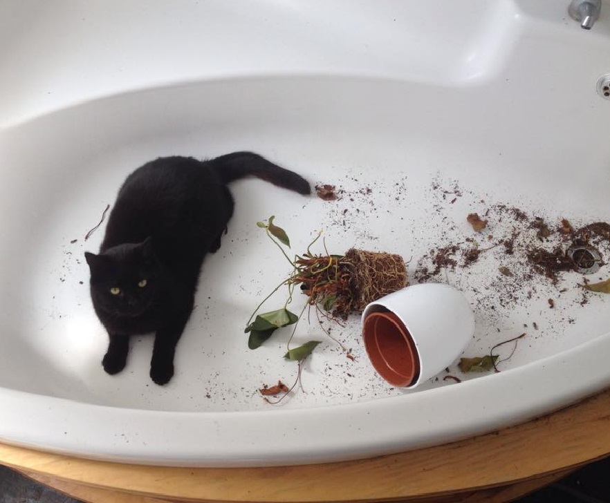 It wasn't me...