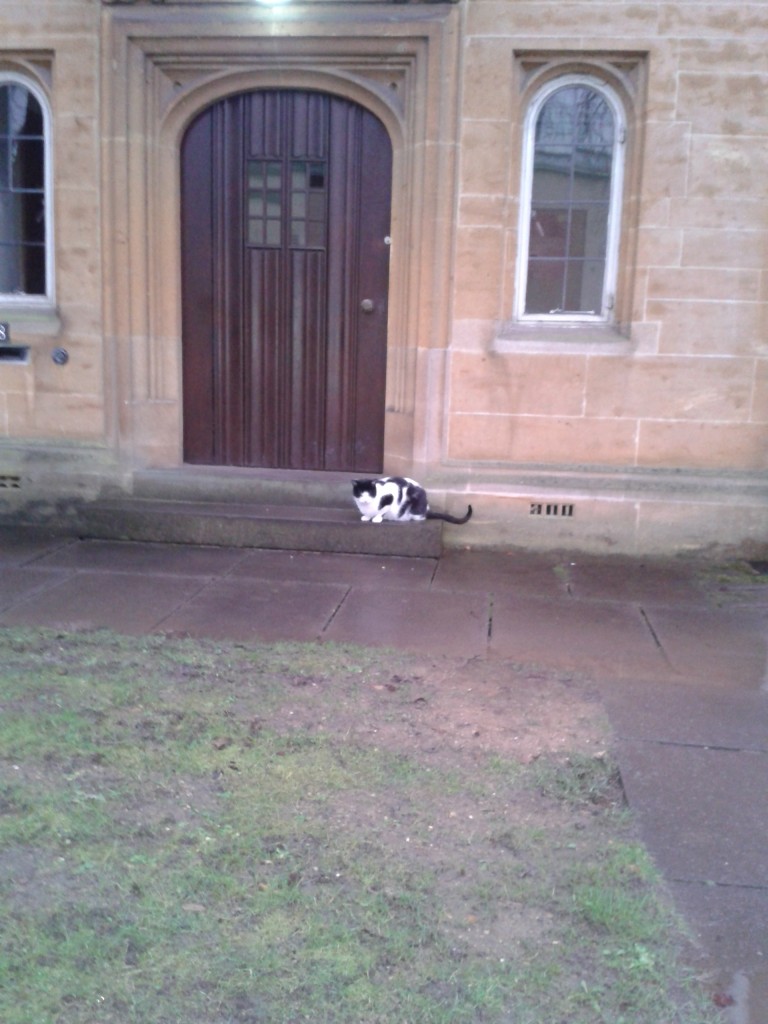 Erasmus, one of Oxford's fluffiest BNOCs