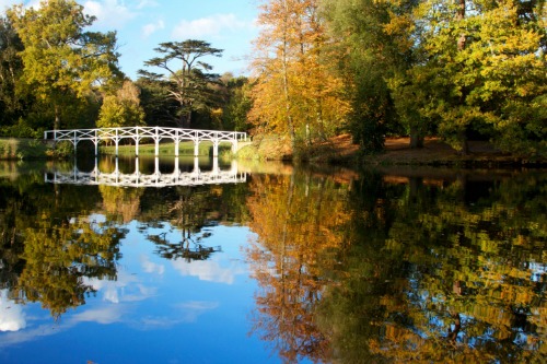 The Harcourt Arboretum 