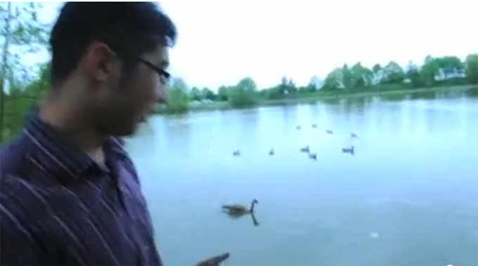 Only experts are allowed this close to the birds