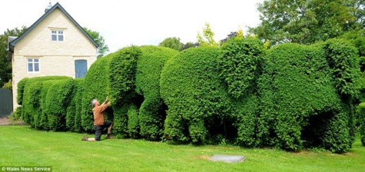 Topiary is usually related to tree hacktivists but this Topiary is more like a musical activist.