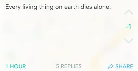 Calm down Einstein