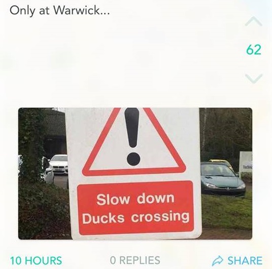 Classic Warwick