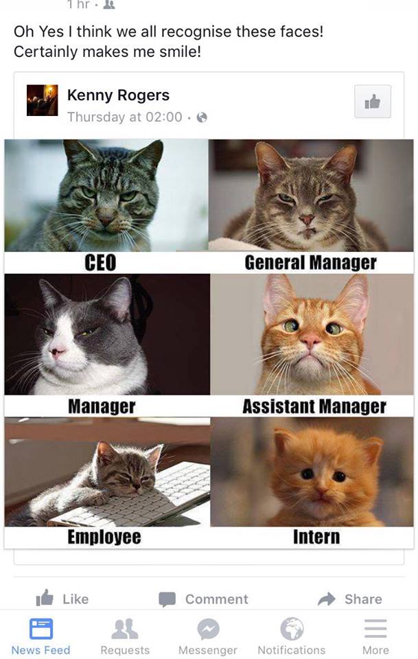 omg so true lol