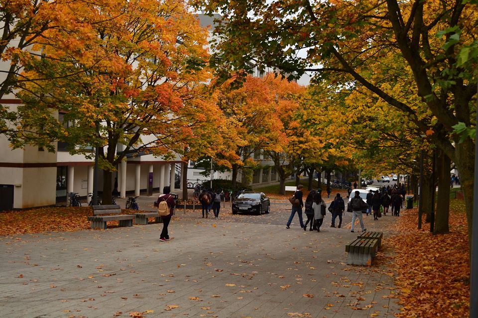 campus-stock