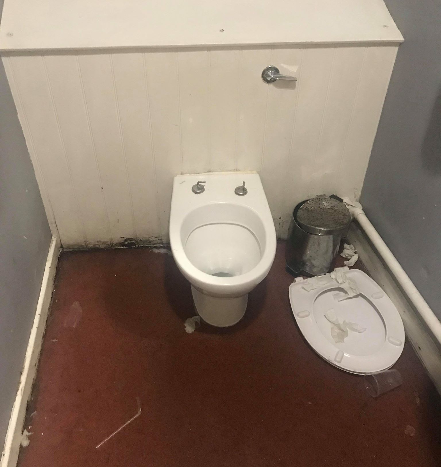 Image may contain: Toilet