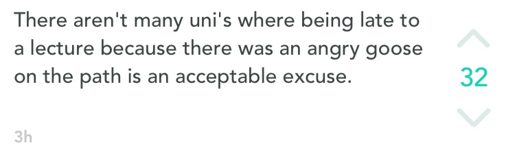 Another redeeming feature of UoY