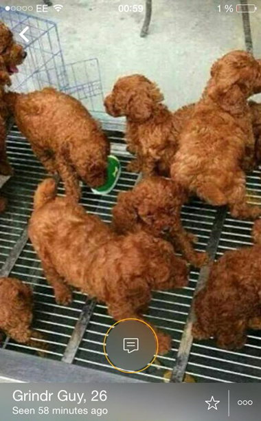 grindr1