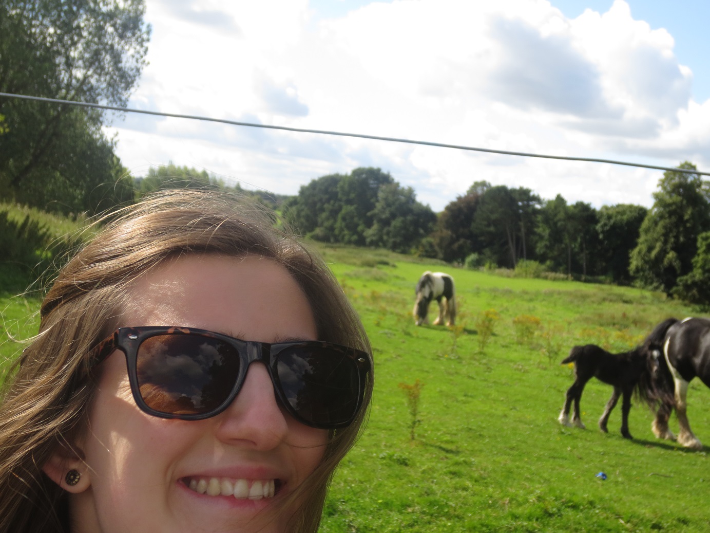 Horse selfie!