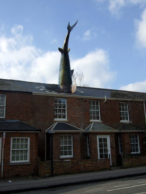 The_Headington_Shark_-_geograph.org_.uk_-_1220282