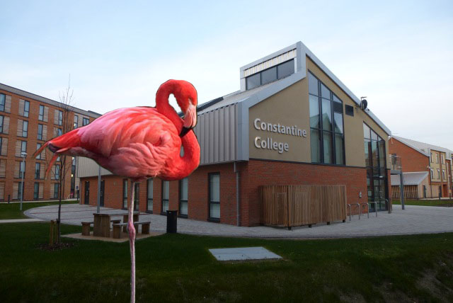 constantine college