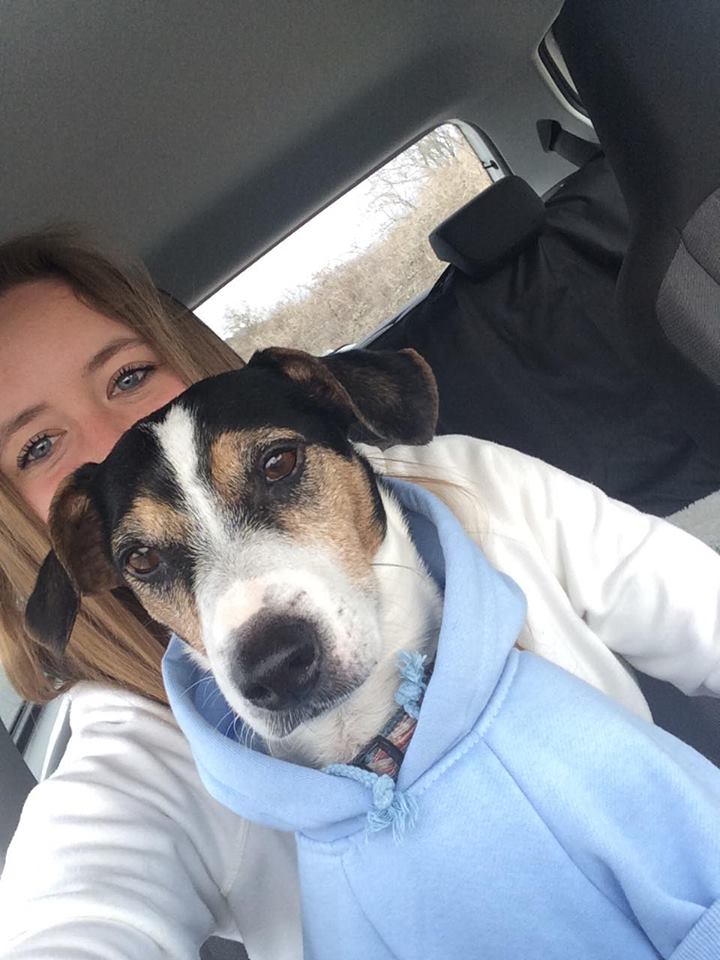 Please don't let your friends drive with their dogs on their laps