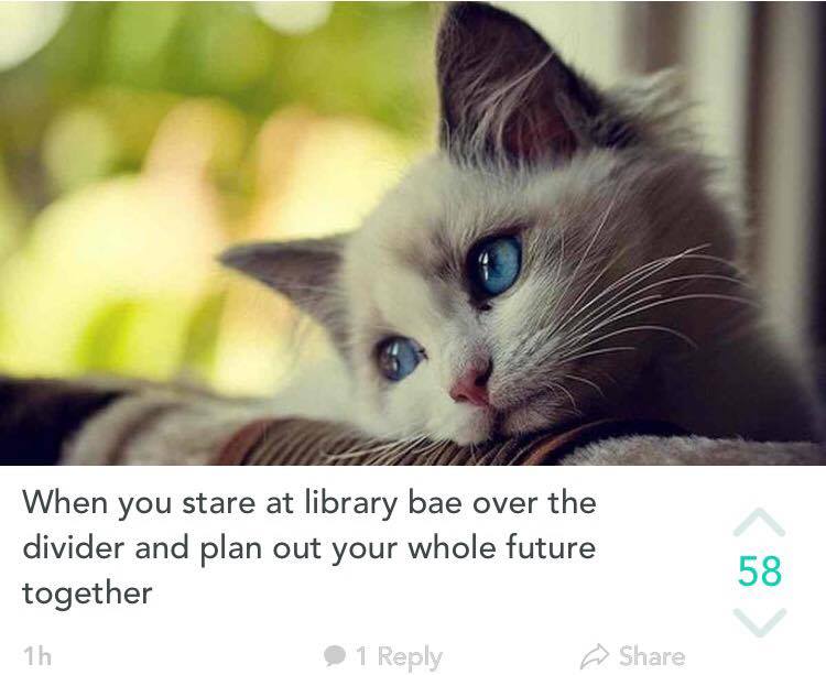 Those "come to bed" eyes