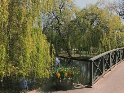 Image may contain: Building, Bridge, Willow, Tree, Plant