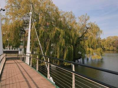 Image may contain: Willow, Bridge, Building, Tree, Plant