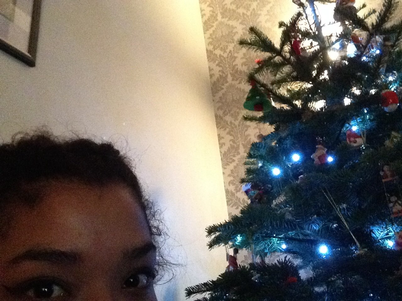 Ellie: If you are strictly herbivore and find yourself hungry on Christmas day, eat your tree for a nutritious meal.
