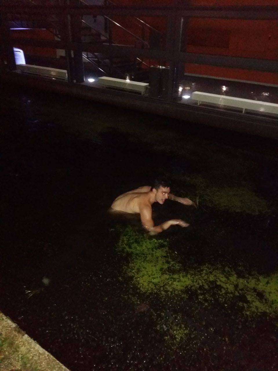 Look at 'em, jumping in ponds without a care in the world