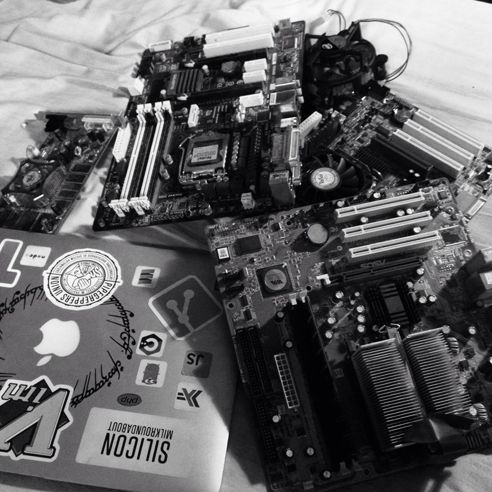 The Computer Scientist, in his natural environment, will decorate his laptop with stickers much like a warrior of yore would tattoo himself