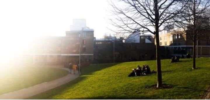 Image may contain: Person, Human, Flare, Light, Sunlight, Campus, Lawn, Plant, Grass