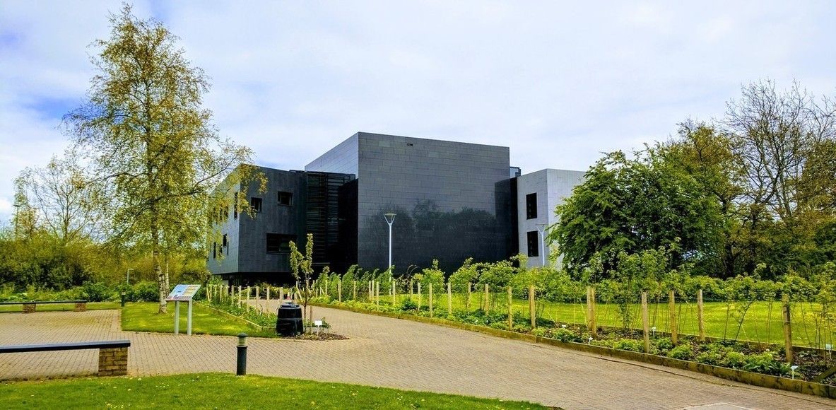 Image may contain: Outdoors, Urban, Housing, Campus, Architecture, Lawn, Furniture, Bench, Bush, Vegetation, Office Building, Building, Grass, Plant