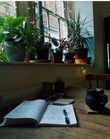 Image may contain: Planter, Vase, Plant, Potted Plant, Jar, Pottery, Book