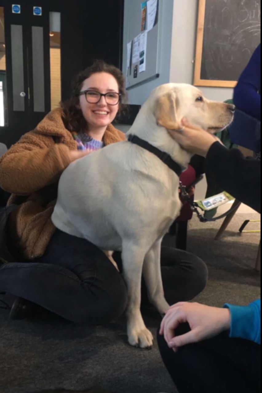 Image may contain: Apparel, Clothing, Dog, Labrador Retriever, Pet, Furniture, Chair, Mammal, Animal, Canine, Person, Human, Accessories, Accessory, Glasses