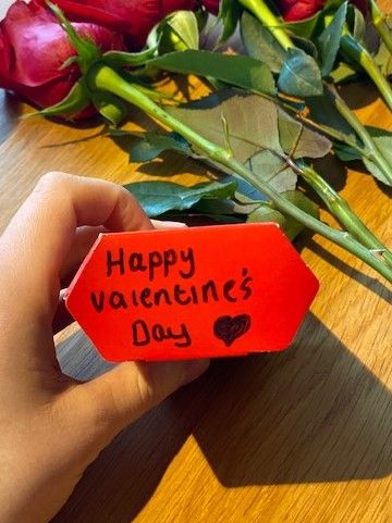 Image may contain: Petal, Leaf, Human, Person, Blossom, Rose, Flower, Plant