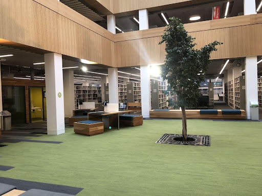 Image of Norma the tree