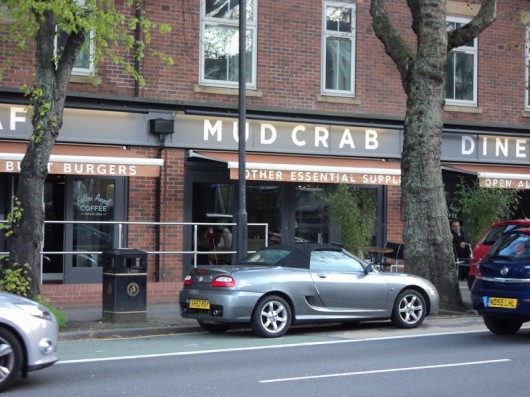 mudcrab2