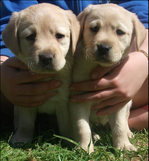 So cute. we're dying...