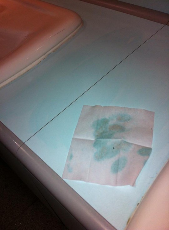 sinks, flat surfaces and toilets were all swabbed