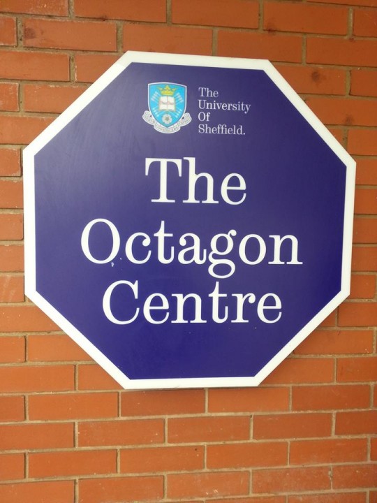 The scene of the crime: The Octagon on Wednesday morning