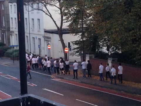 'Like a herd of disobedient cattle'
