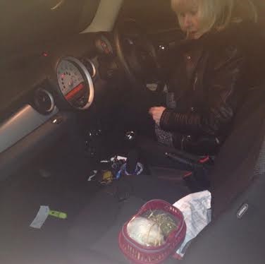 Princess in transit