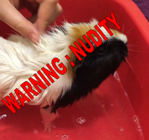 warning nudity