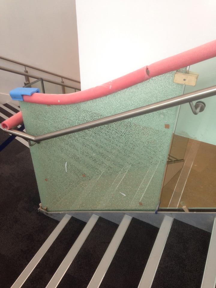 12071538_10207022157019748_251847220_n