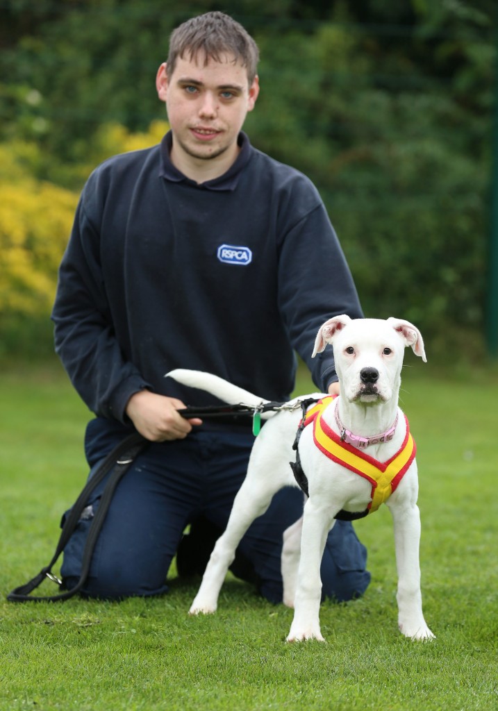 Craig holmes 25 RSPCS animal care assistant with deaf puppy Marni who is learning sign language in Sheffield. see rossparry copy RPYDEAF: An adorable deaf puppy who learns commands through sign language is looking for a new home. Marni, described as "full of fun and mischief", is four months old and is currently being cared for by a local RSPCA centre. But she's looking for a special owner who she can settle down with and start to enjoy a full and happy life despite her hearing problems.