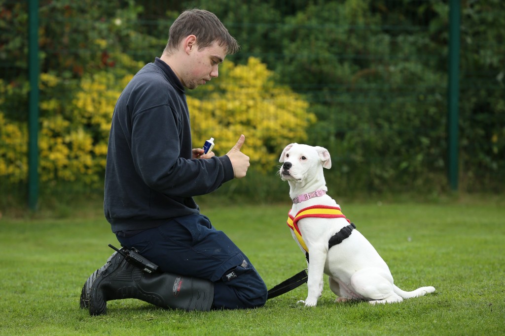 Craig holmes 25 RSPCS animal care assistant with deaf puppy Marni who is learning sign language in Sheffield. see rossparry copy RPYDEAF: An adorable deaf puppy who learns commands through sign language is looking for a new home. Marni, described as "full of fun and mischief", is four months old and is currently being cared for by a local RSPCA centre. But she's looking for a special owner who she can settle down with and start to enjoy a full and happy life despite her hearing problems.