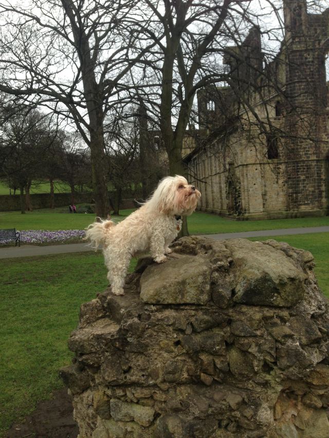 monty
