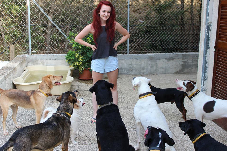 Eve with some of her rescue dogs 