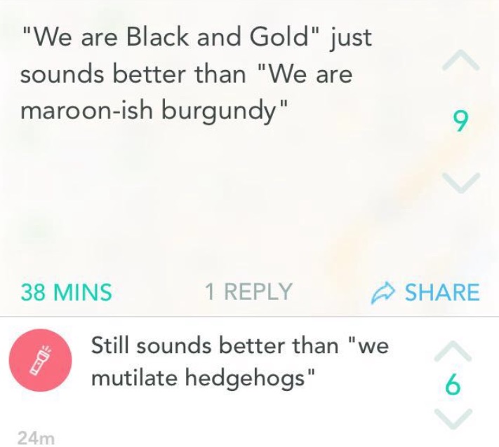 Not sure the torch really understands the concept of cheering for your uni