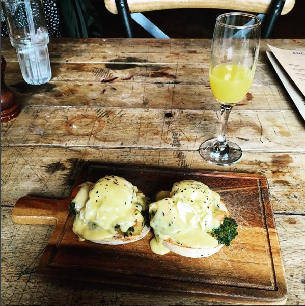 mimosa