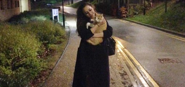 cat-ft-image