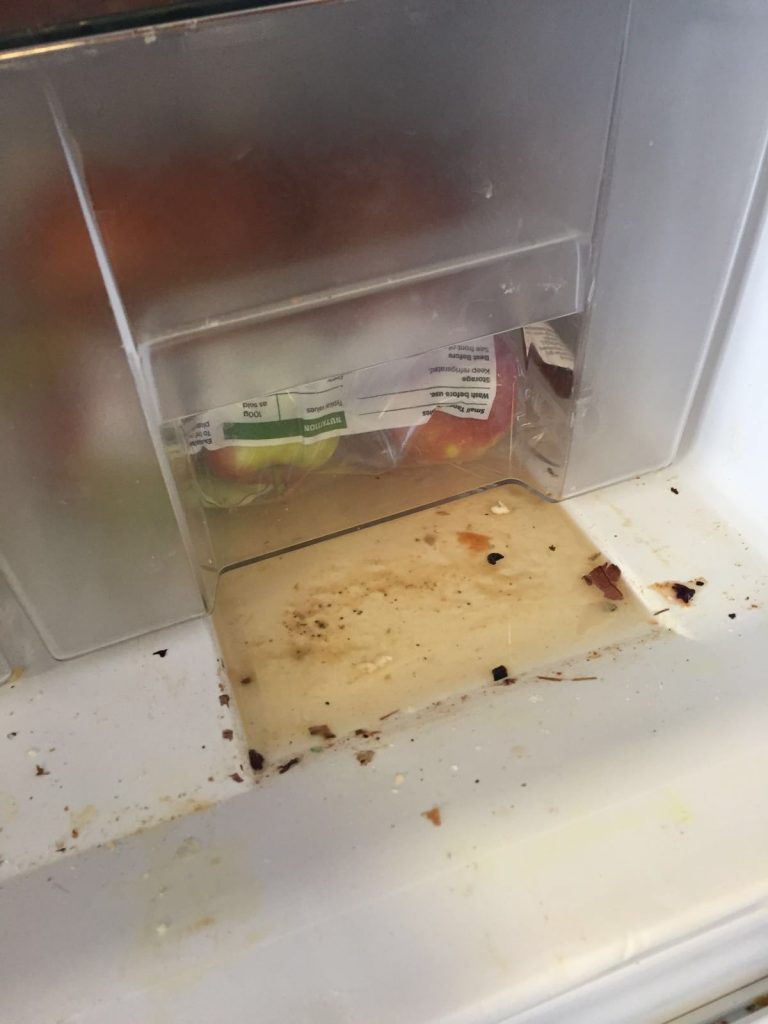 Leaky fluids fill the bottom of a fridge.