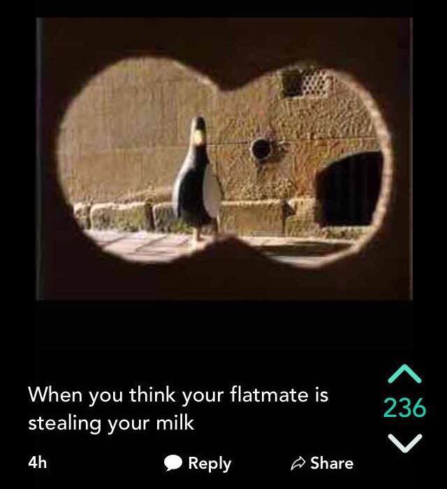 Comedy gold