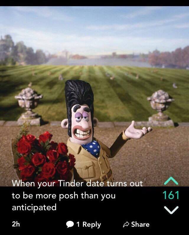 The peak of Sheffield Yaks?