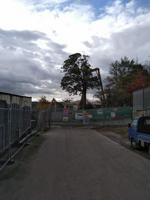 Photographs of the site taken this morning 