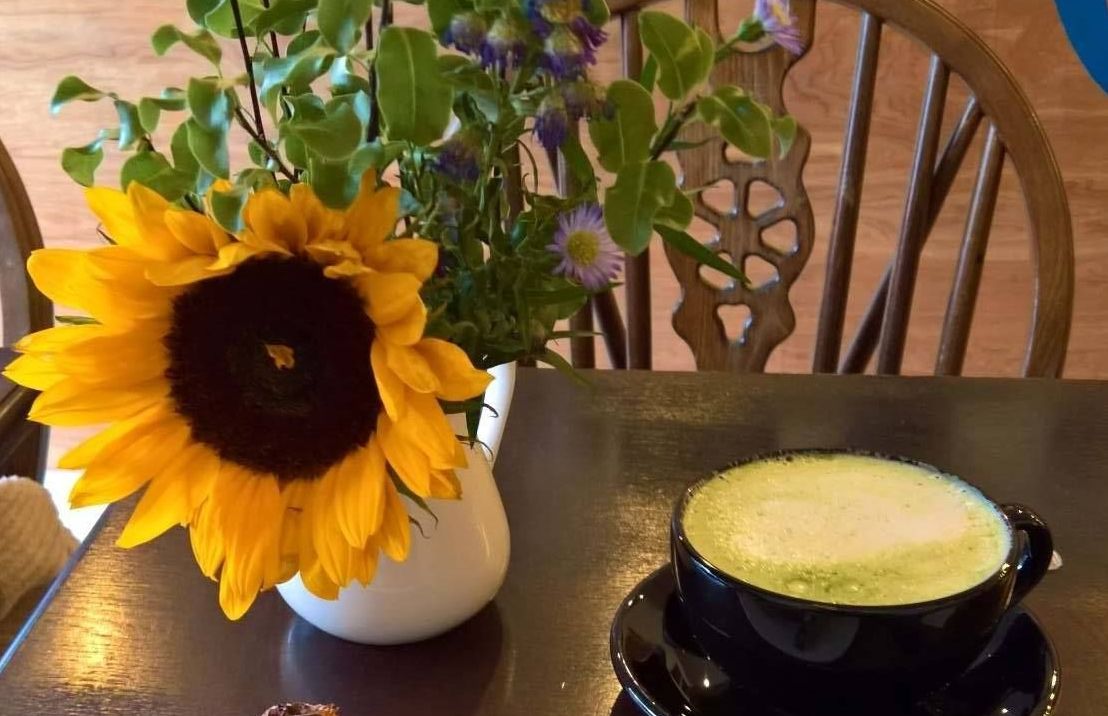 Image may contain: Furniture, Chair, Drink, Beverage, Potted Plant, Plant
