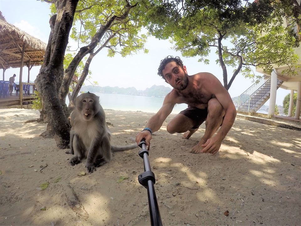 Image may contain: Soil, Sand, Outdoors, Wildlife, Monkey, Mammal, Baboon, Animal, Person, People, Human