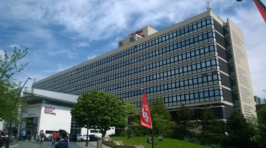 Image may contain: Flag, Symbol, Vegetation, Bush, Car, Transportation, Automobile, Vehicle, Grass, Plant, Person, Human, Office Building, Building